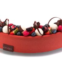 (Tamaño único 12 pers.)
	•	Bizcocho de chocolate con base de mazapán
	•	Confit de frutos rojos
	•	Mousse ligera de chocolate blanco perfumada con vainilla natural
	•	Mousse de chocolate con base de crema inglesa
	•	Bizcocho de limón
	•	Frutos rojos frescos
Recomendación del Chef Cyril, sacar del refrigerador una hora antes de consumir.